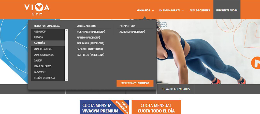 Pantallazo web gimnasio Viva Gym
